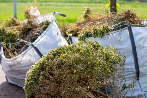 Best Yard Cleanup Services  in Mayville, WI