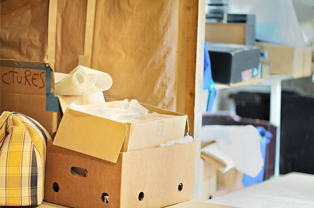 Best Office Junk Removal  in Mayville, WI